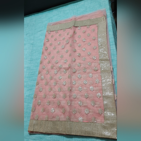 Light Pink Embellished Sequin Net Saree with stitched Blouse and Petticoat - Picture 9 of 12